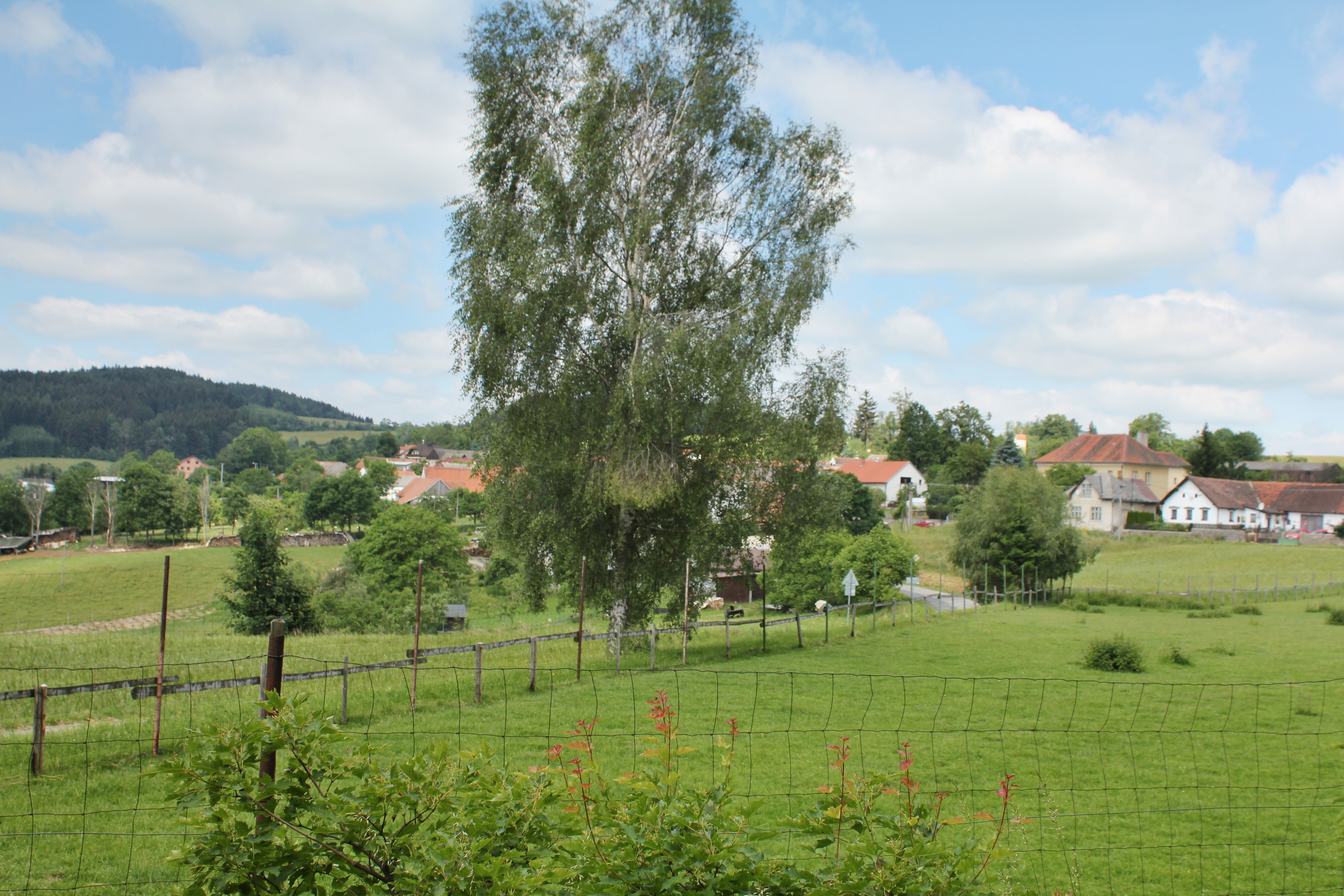 Pohled od bývalé pískovny, 2015 (foto Havlík D.)